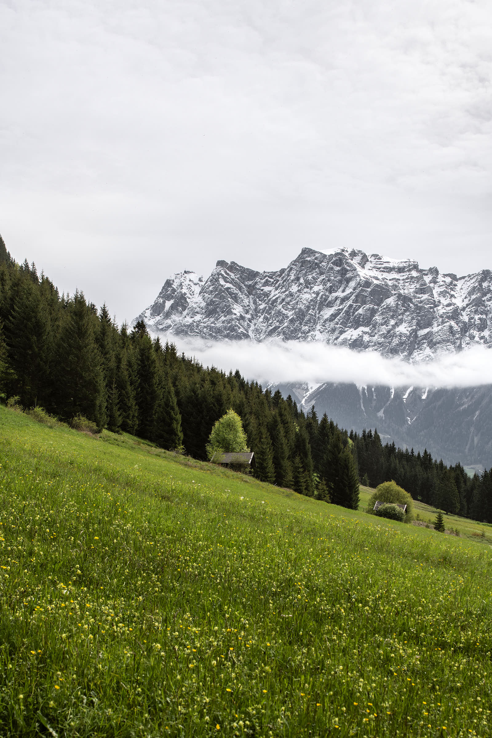 Lermooser, Lermoos, 2022–2023